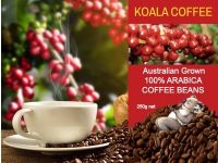 Koala Tea Company – Organic Coffee
