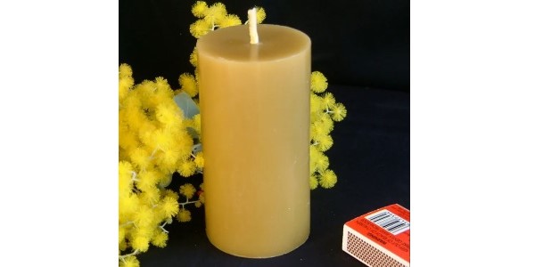 The Bee Whisperer – Beeswax Maxi Plinth Candle