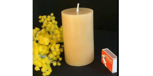 The Bee Whisperer – Beeswax Medium Pillar Candle