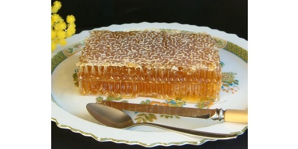 The Bee Whisperer – Fresh Honeycomb